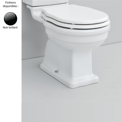 Cuvette WC monobloc rétro HERMITAGE - ELLADE, sortie verticale, céramique noire